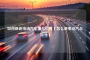 如何查询电动汽车排号位置（怎么查电动汽车排号）