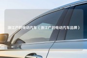 浙江产的电动汽车（浙江产的电动汽车品牌）