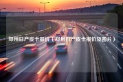 郑州日产皮卡报价（郑州日产皮卡报价及图片）