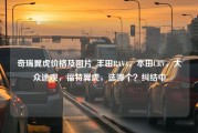 奇瑞翼虎价格及图片_丰田RAV4，本田CRV，大众途观，福特翼虎，选哪个？纠结中