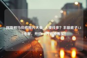 阿斯顿马价格图片大全_人傻钱多？丰田底子1.3L小车，开价100万竟抢着买！