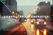 比亚迪纯电动汽车宋suv（比亚迪纯电动汽车宋plus）