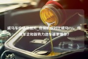 威马车价格及图片_奇瑞蚂蚁对比威马EX5，传统车企和新势力造车谁更懂你？