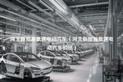 河北新能源低速电动汽车（河北新能源低速电动汽车价格）