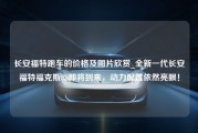 长安福特跑车的价格及图片欣赏_全新一代长安福特福克斯RS即将到来，动力配置依然亮眼！