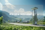 绅宝d70省油（绅宝d70省油方法）