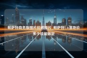 帕萨特商务版图片价格图片_帕萨特1.4t落地价多少钱能搞定