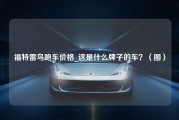 福特雷鸟跑车价格_这是什么牌子的车？（图）