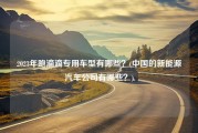 2023年跑滴滴专用车型有哪些？(中国的新能源汽车公司有哪些？)