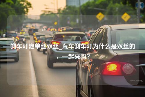 刹车灯泡单丝双丝_汽车刹车灯为什么是双丝的，一起亮吗？