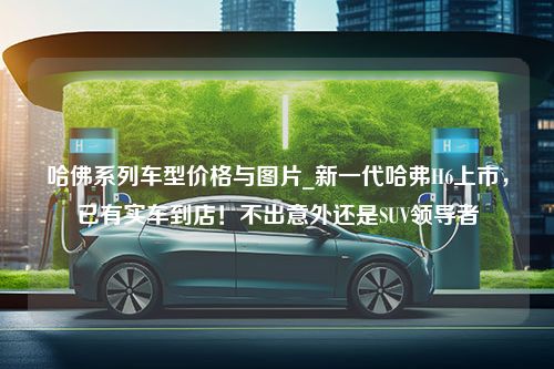 哈佛系列车型价格与图片_新一代哈弗H6上市，已有实车到店！不出意外还是SUV领导者