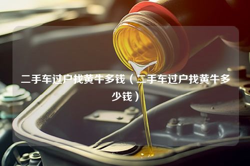 二手车过户找黄牛多钱（二手车过户找黄牛多少钱）