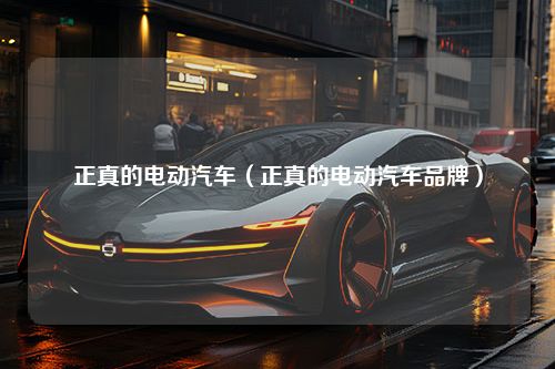 正真的电动汽车（正真的电动汽车品牌）