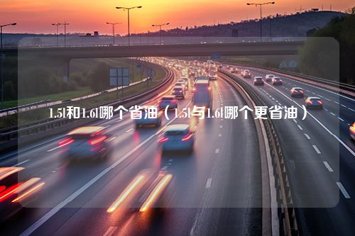 1.5l和1.6l哪个省油（1.5l与1.6l哪个更省油）