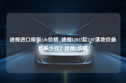 途观进口原版2.0t价格_途观L2022款2.0T落地价最低多少钱？途观L价格