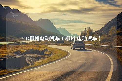 2017柳州电动汽车（柳州 电动汽车）