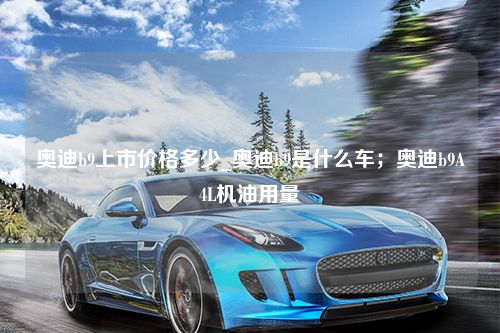 奥迪b9上市价格多少_奥迪b9是什么车；奥迪b9A4L机油用量