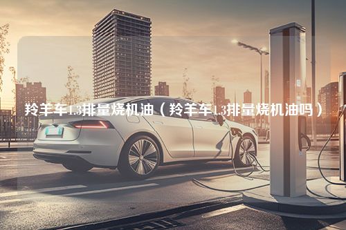 羚羊车1.3排量烧机油（羚羊车1.3排量烧机油吗）