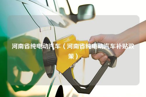 河南省纯电动汽车（河南省纯电动汽车补贴政策）