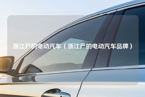 浙江产的电动汽车（浙江产的电动汽车品牌）