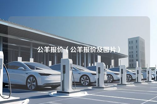 公羊报价（公羊报价及图片）