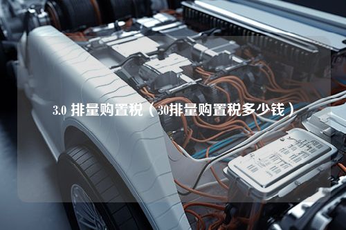 3.0 排量购置税（30排量购置税多少钱）