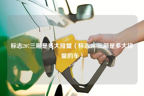 标志207三厢是多大排量（标志207三厢是多大排量的车）