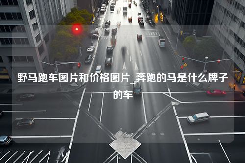 野马跑车图片和价格图片_奔跑的马是什么牌子的车