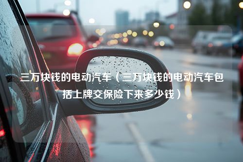 三万块钱的电动汽车（三万块钱的电动汽车包括上牌交保险下来多少钱）