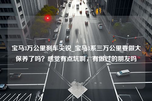 宝马3万公里刹车尖锐_宝马3系三万公里要做大保养了吗？感觉有点坑啊，有做过的朋友吗